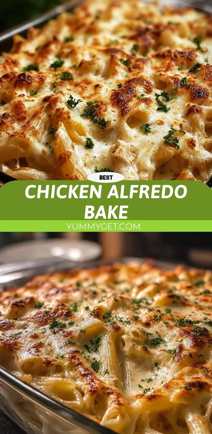 chicken alfredo bake pinterest