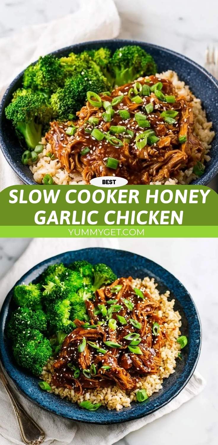 slow cooker honey garlic chicken pinterest