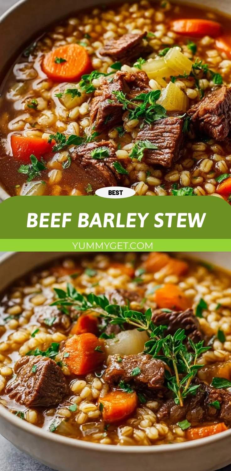 beef barley stew pinterest