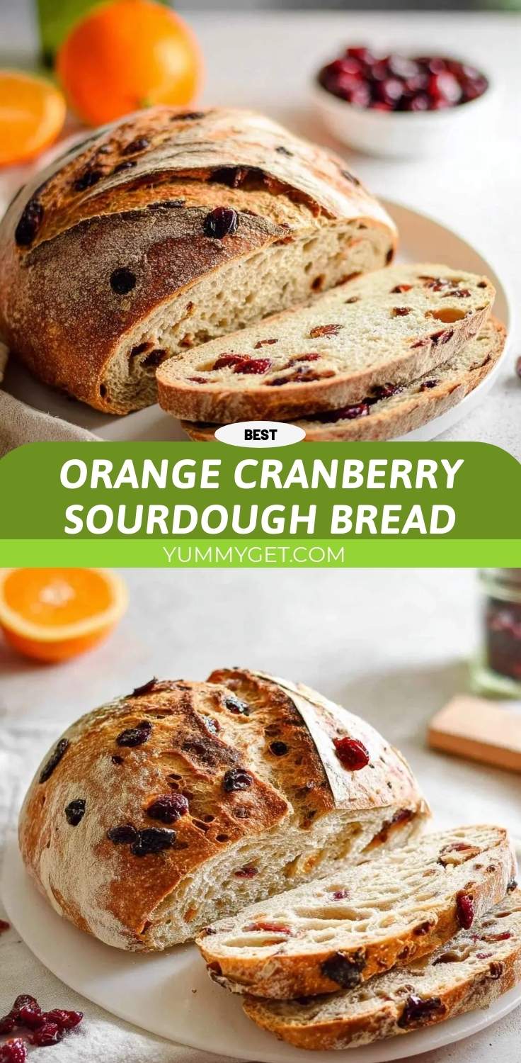 orange cranberry sourdough bread pinterest