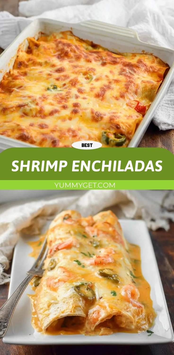 shrimp enchiladas pinterest