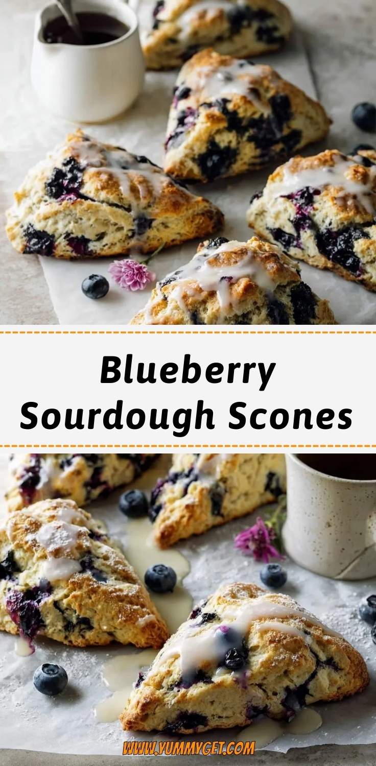 blueberry sourdough scones pinterest