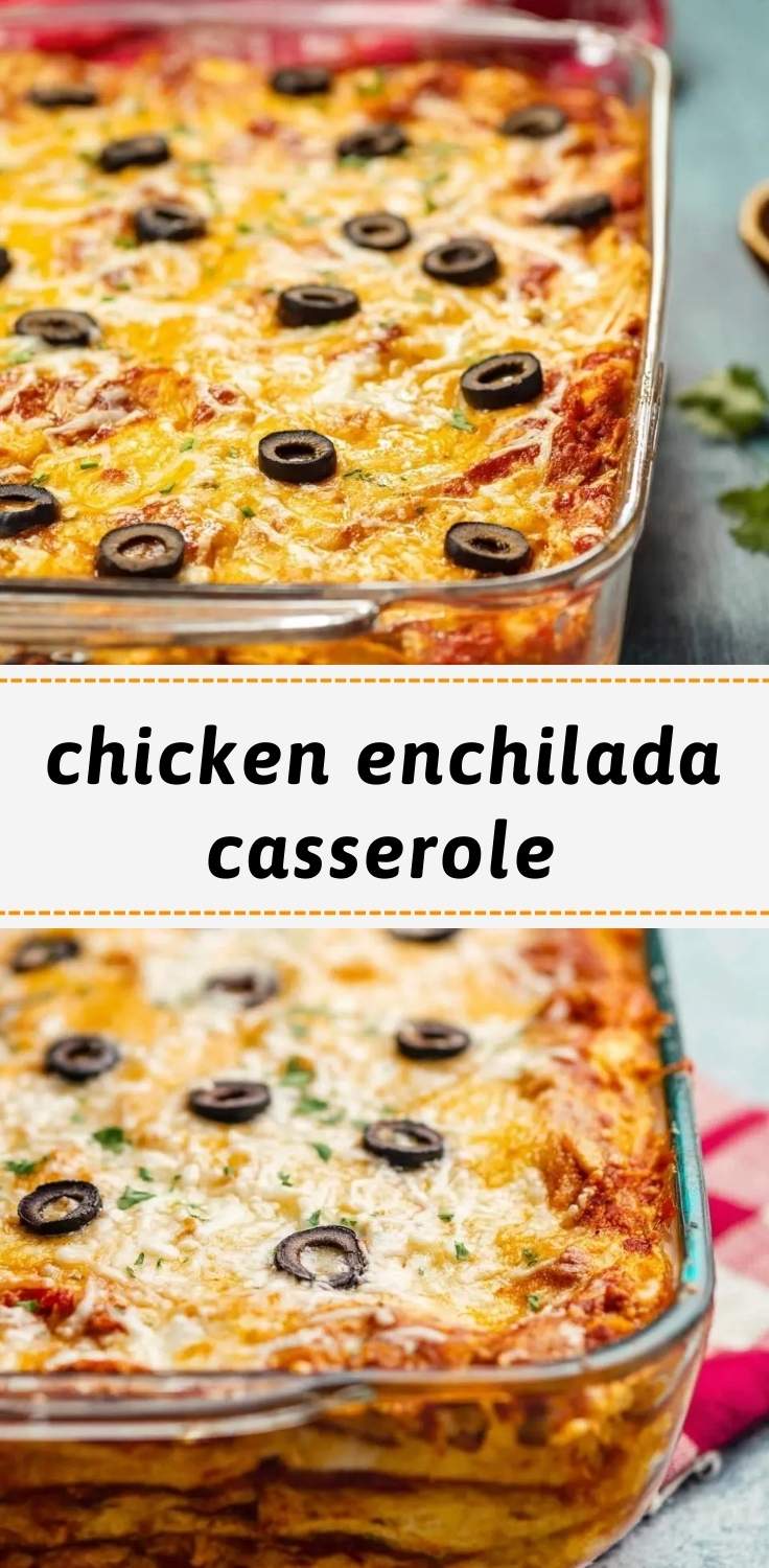 chicken enchilada casserole pinterest