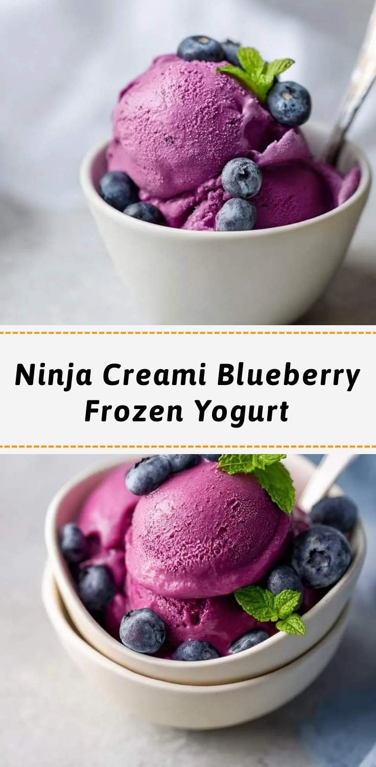 ninja creami blueberry frozen yogurt pinterest