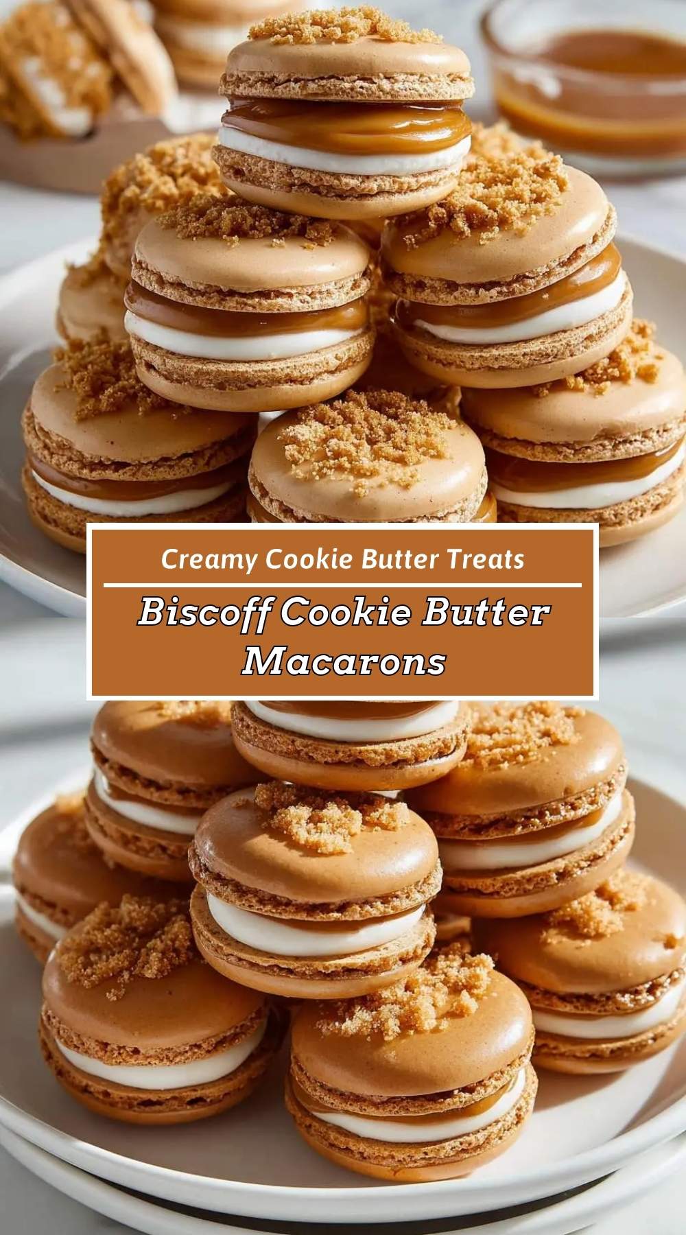 Biscoff Cookie Butter Macarons 3 finished dish ready to serve