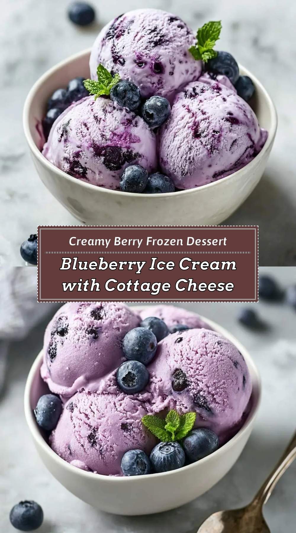 Blueberry Ice Cream with Cottage Cheese 3 finished dish ready to serve