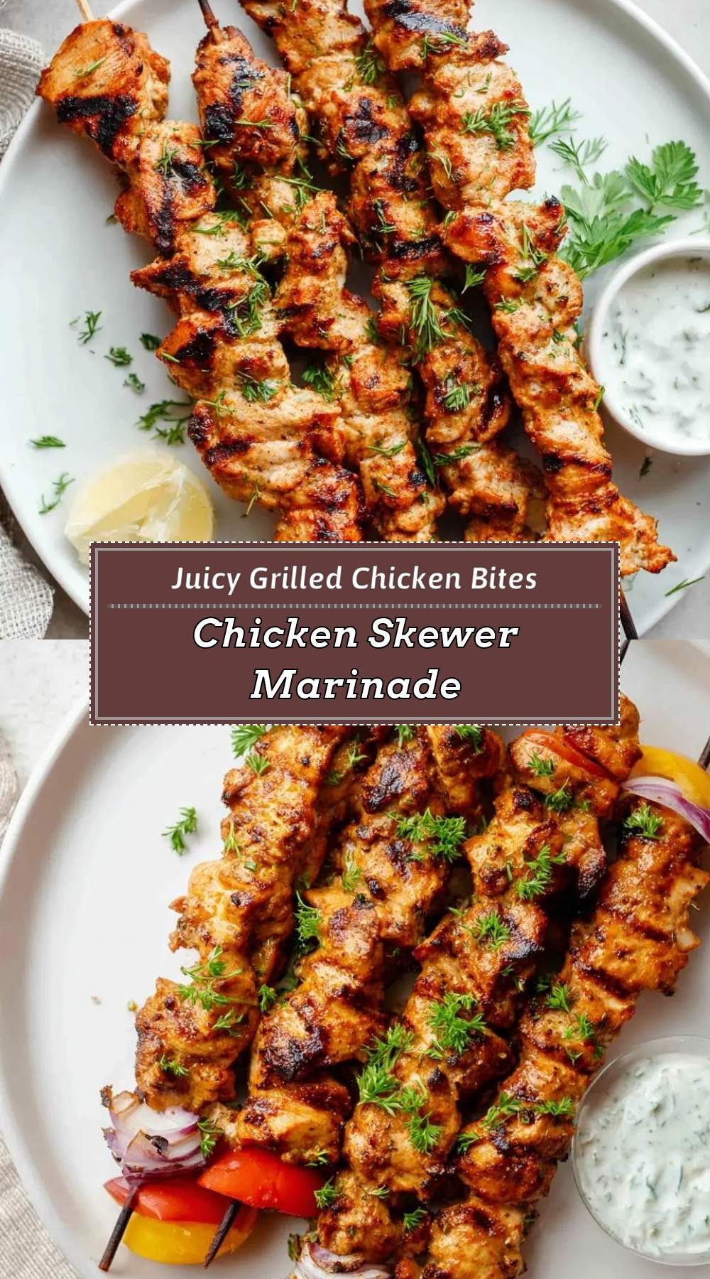 Chicken Skewer Marinade 3 finished dish ready to serve